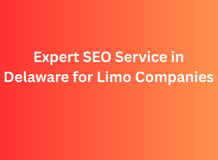 Expert SEO Service in Delaware for Limo Companies