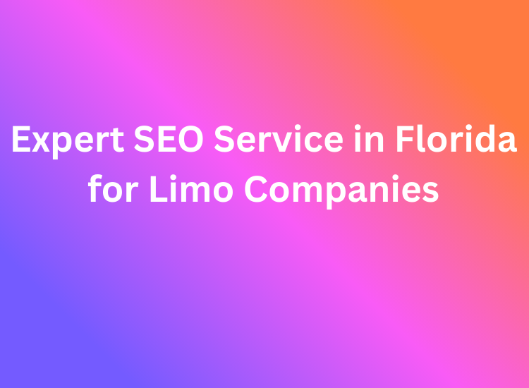 Expert SEO Service in Florida for Limo Companies