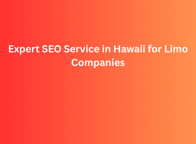 Expert SEO Service in Hawaii for Limo Companies