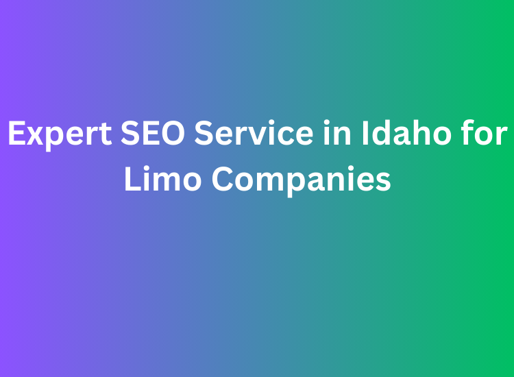 Expert SEO Service in Idaho for Limo Companies