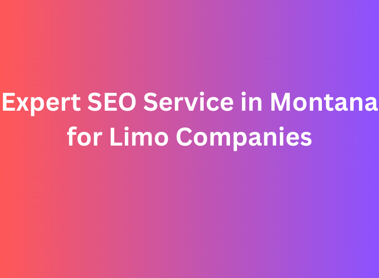 Expert SEO Service in Montana for Limo Companies