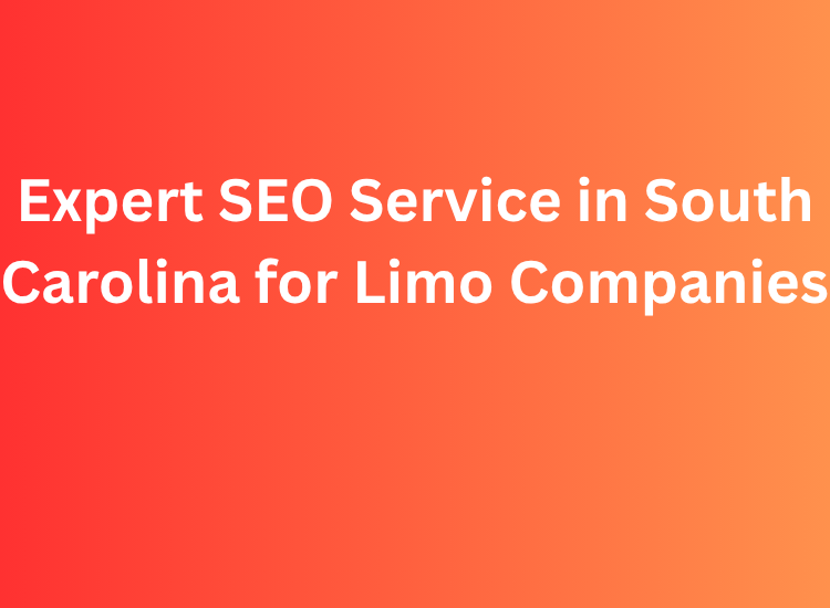 Expert SEO Service in South Carolina for Limo Companies