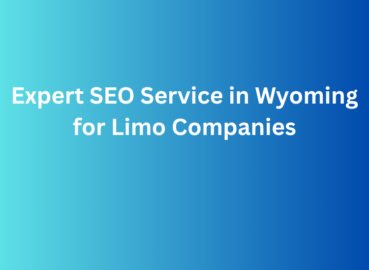 Expert SEO Service in Wyoming for Limo Companies