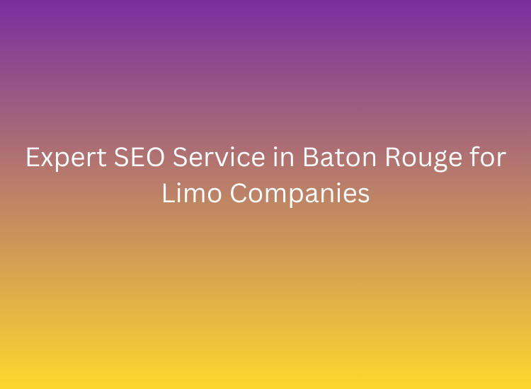 Expert SEO Service in Baton Rouge for Limo Companies
