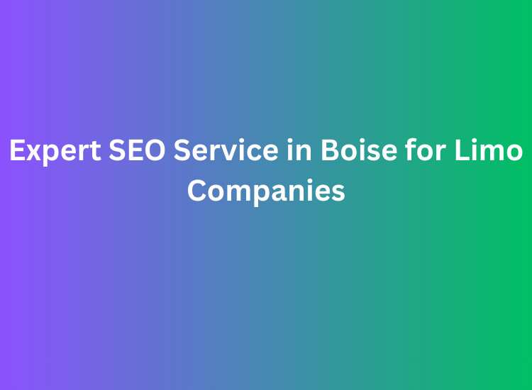 Expert SEO Service in Boise for Limo Companies
